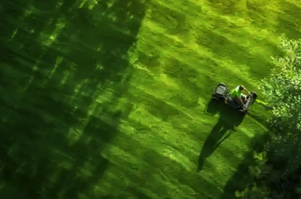 landscaping lawn